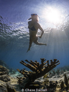 "Sun Shimmer"
Shallow water searching outside of Smith's... by Chase Darnell 